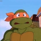 We all want a teenage mutant ninja turtle