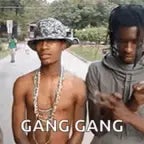 Gang Gang
