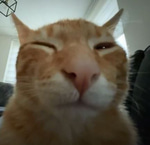 Ima Tickle U