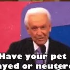 pets spayed