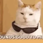 yaaah tota sound meme