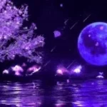 musique phobie (copy)