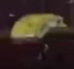 low quality sad spongebob music