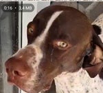 indu barrio chan chan (the final countdown cover)