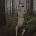 Mahmit hehehe