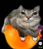 goofy ahh YouTube shorts text to speech ahh song