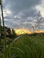 The Hills x The Color Violet x Creepin (TikTok Remix) by darkvi