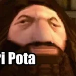 Hari Pota pragnę cię oryginał