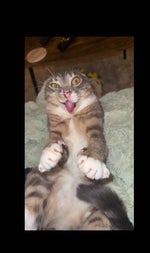 Silla-Yailin - Sound