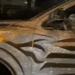 rich millionaire bomboclat