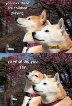 OhnePixel NAUR Sound Effect