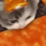 minecraft cat song