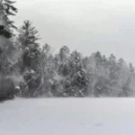 Wind Sound Effect (copy)