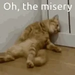 Vai tomar no cu misera