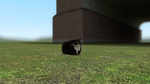 Maxwell the Cat Theme