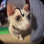 valorant spike plant