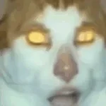 Monday left me broken