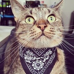 Naamloos 2 26:02:2022 16