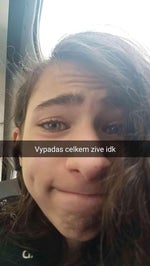 we live we love we lie