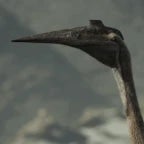 QUETZALCOATLUS