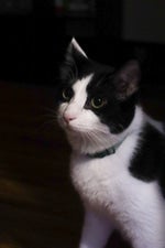 He did WHAT with his friend's daughter