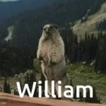 william