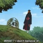 what?! i don't believe it!