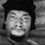 dreamybull getting attacked by bees