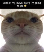 goku prowler meme sound effect