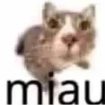 ne nado bilo eto kushat