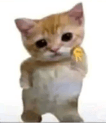 Spongebob Fail Sound Effect