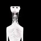 The Boy And The Bath - Why Did you Leave me