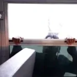 Just The Way You Are