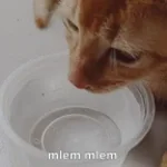 mlem