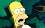 Homer Simpson : The Simpsons Wooooo, Scare you