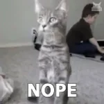 Black Beatles Jumpstyle (copy)