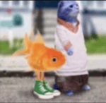 Cool Edge (Day) - Sonic Unleashed