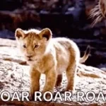 katy perry roar