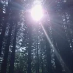 I really like to use Cash