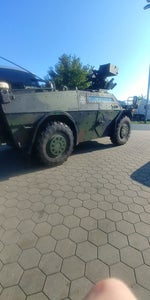 Ich stehe auf Schwänze Song