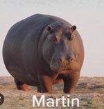 Oil meme USA song - Sound