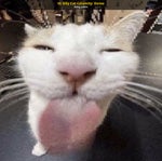 A thousand hot peppers