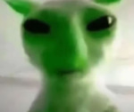 Im Allergac To Cat