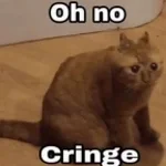 Oh no cringe