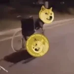 r6 bell multi 5Xspeed