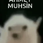 ahmat zurna