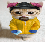 MR BEAST SCREAMING MEME