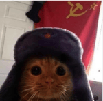 my friend says uwu