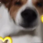 Sugar Crash slow+reverb