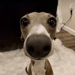 treat me like white tees: LOUD